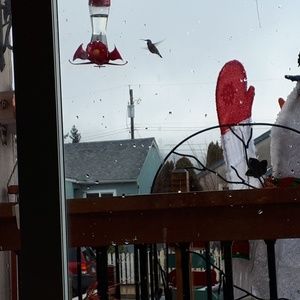 Meet your Posher, Celia